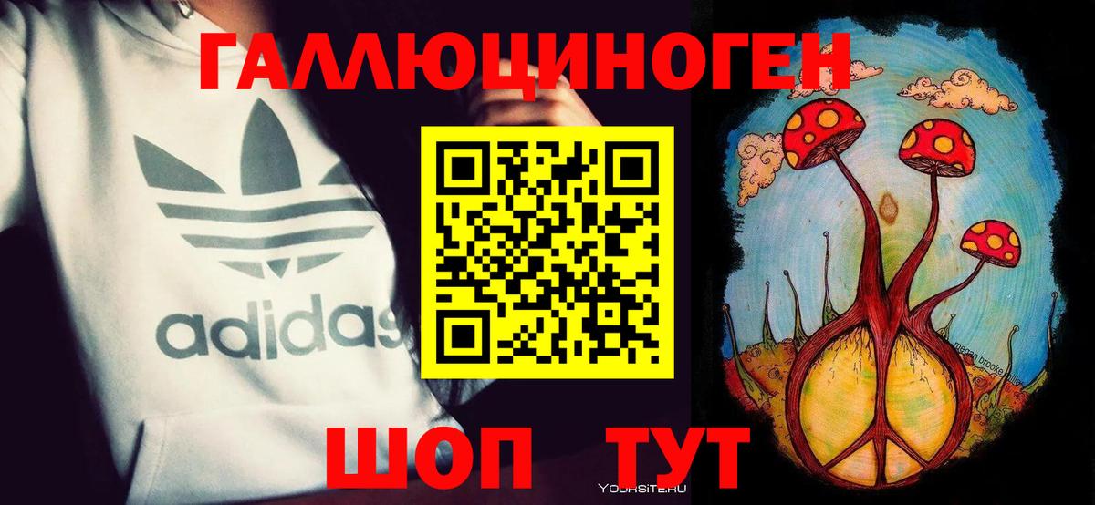 Галлюциногенные грибы мицелий Губкинский